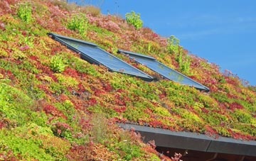 Ideford living roof systems