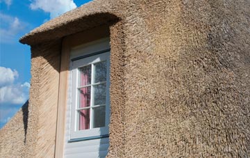 Ideford thatch roof disadvantages
